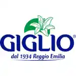 Giglio 優惠券代碼 